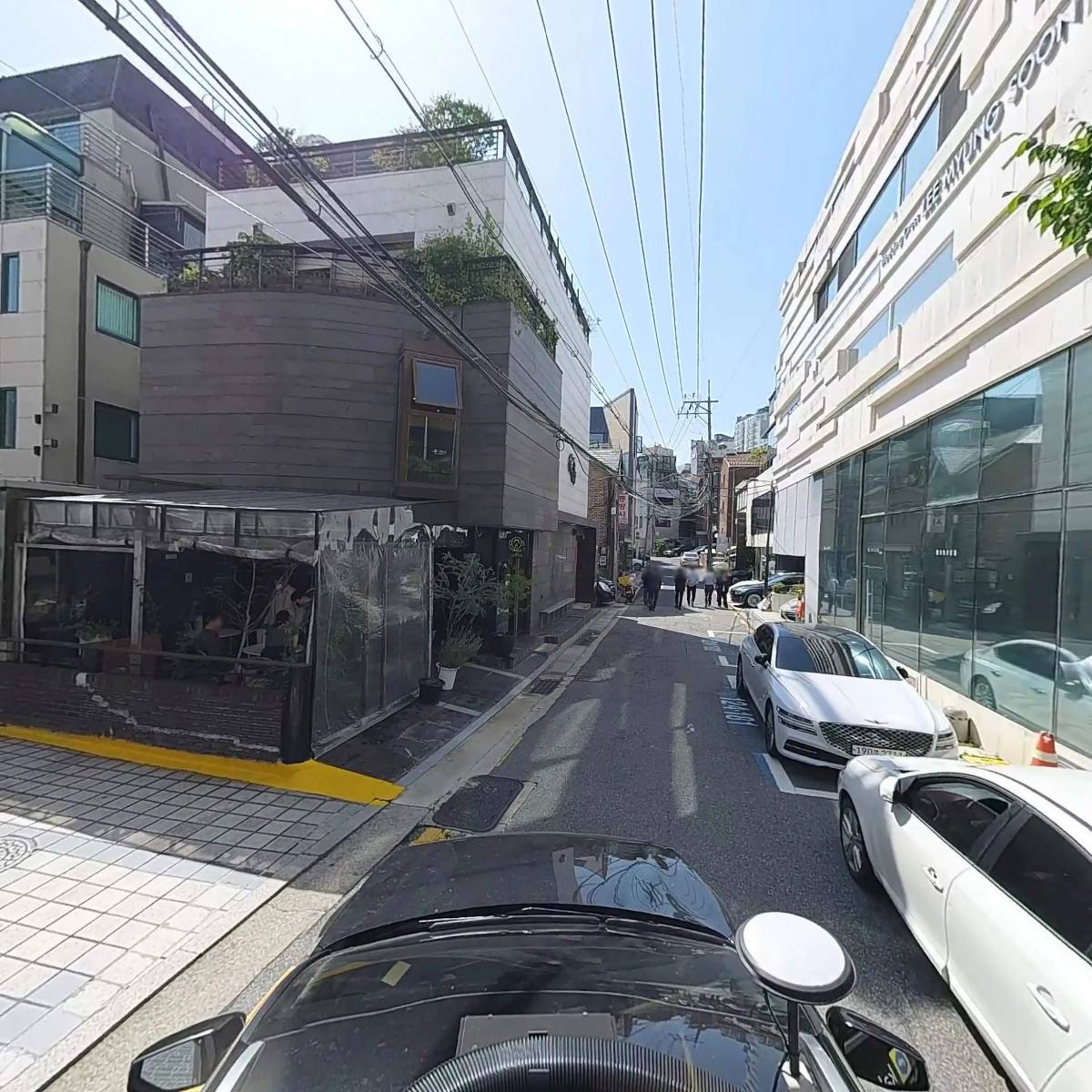 들꽃_4