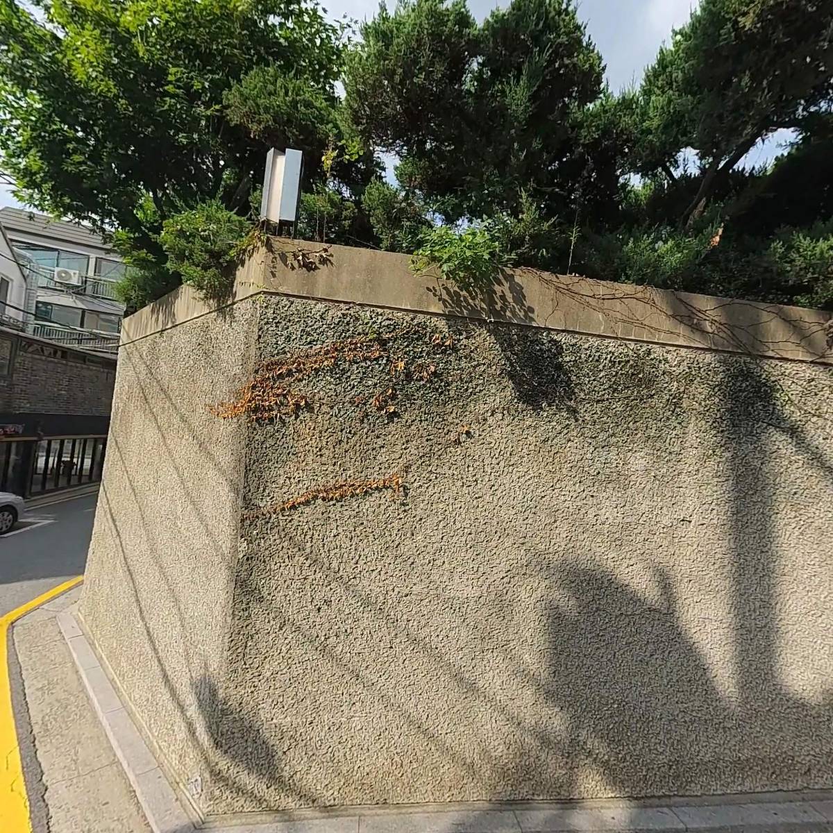 주식회사 위런라이브
