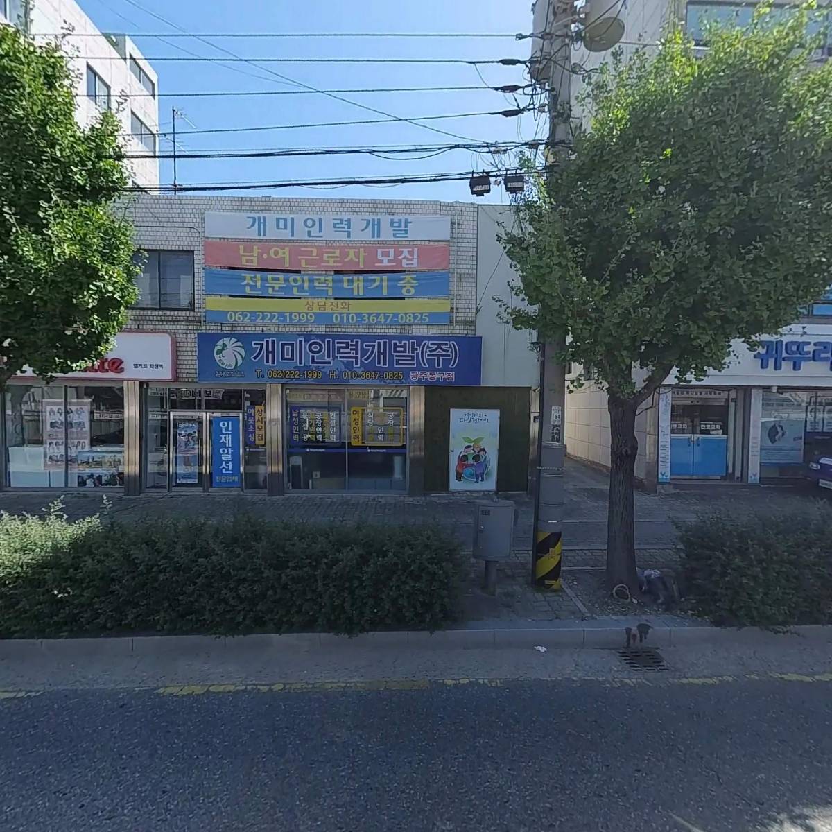 비타민이사전문