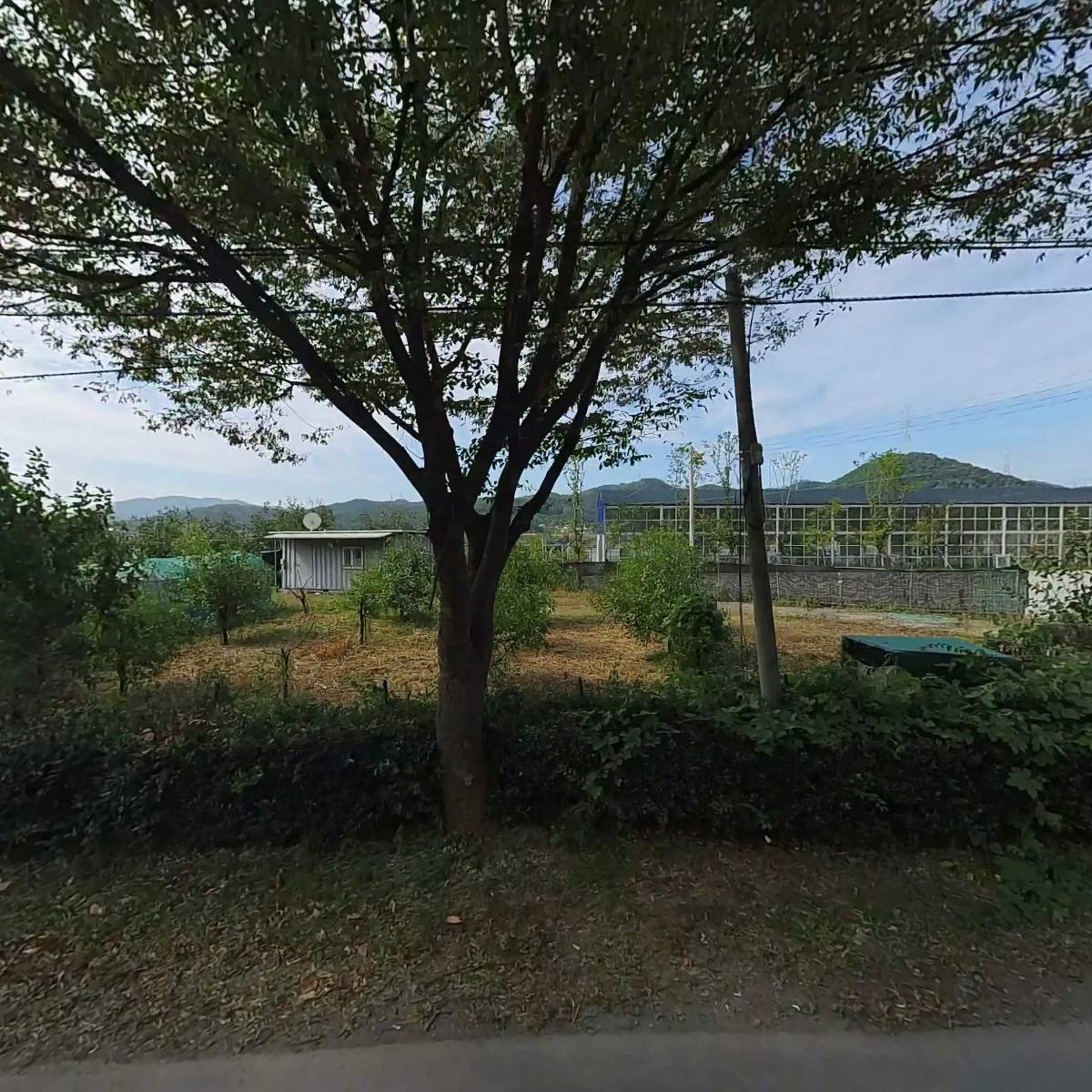 주식회사엔엘리오