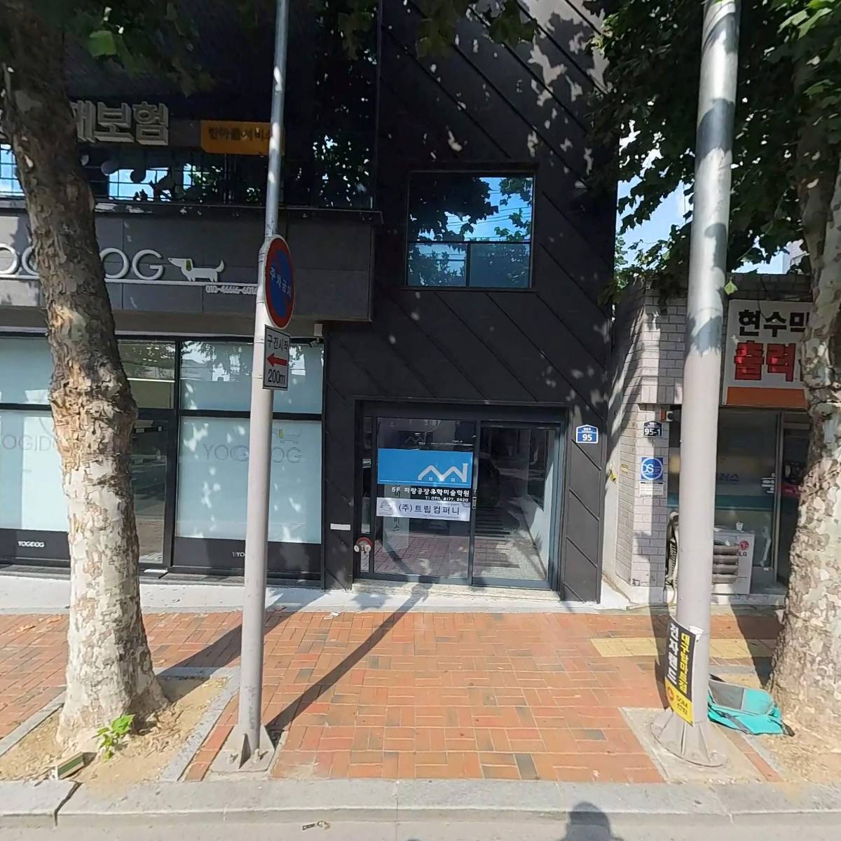 도그플랫폼 강아지분양 대구본점