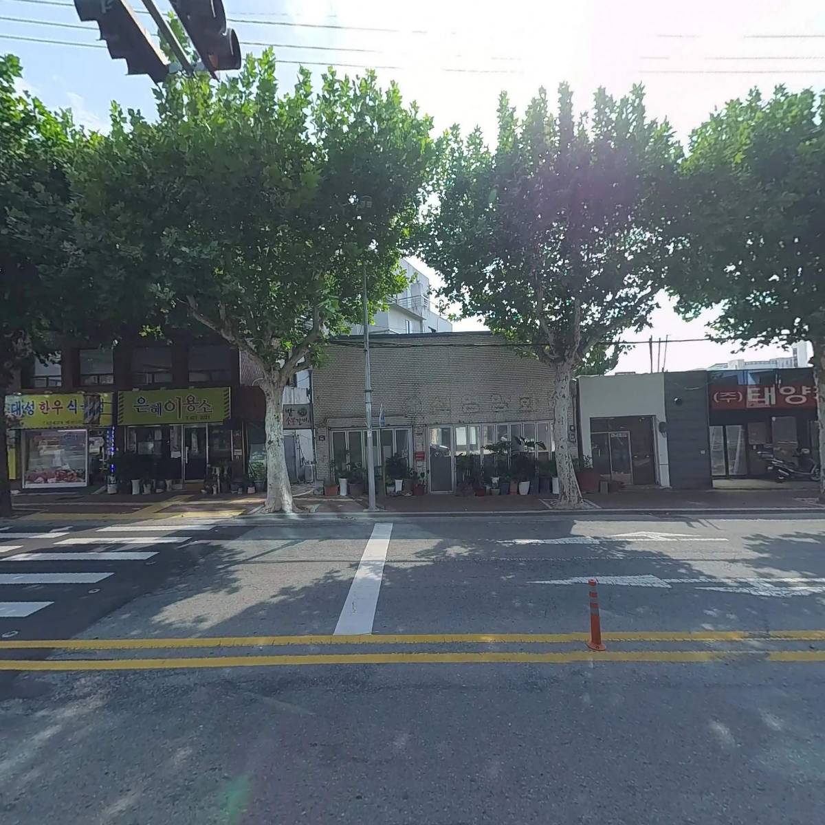 도그플랫폼 강아지분양 대구본점_3