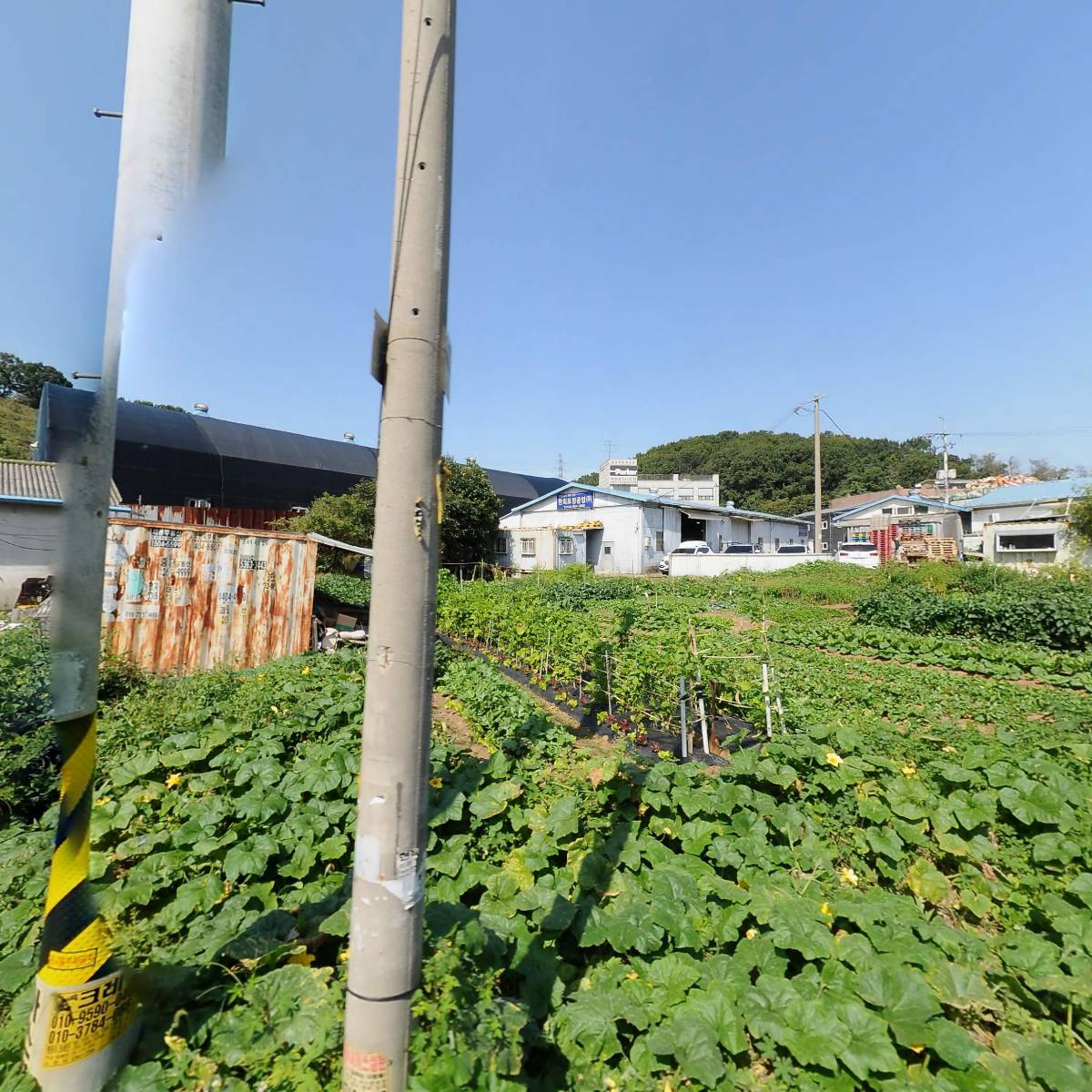 대림통신