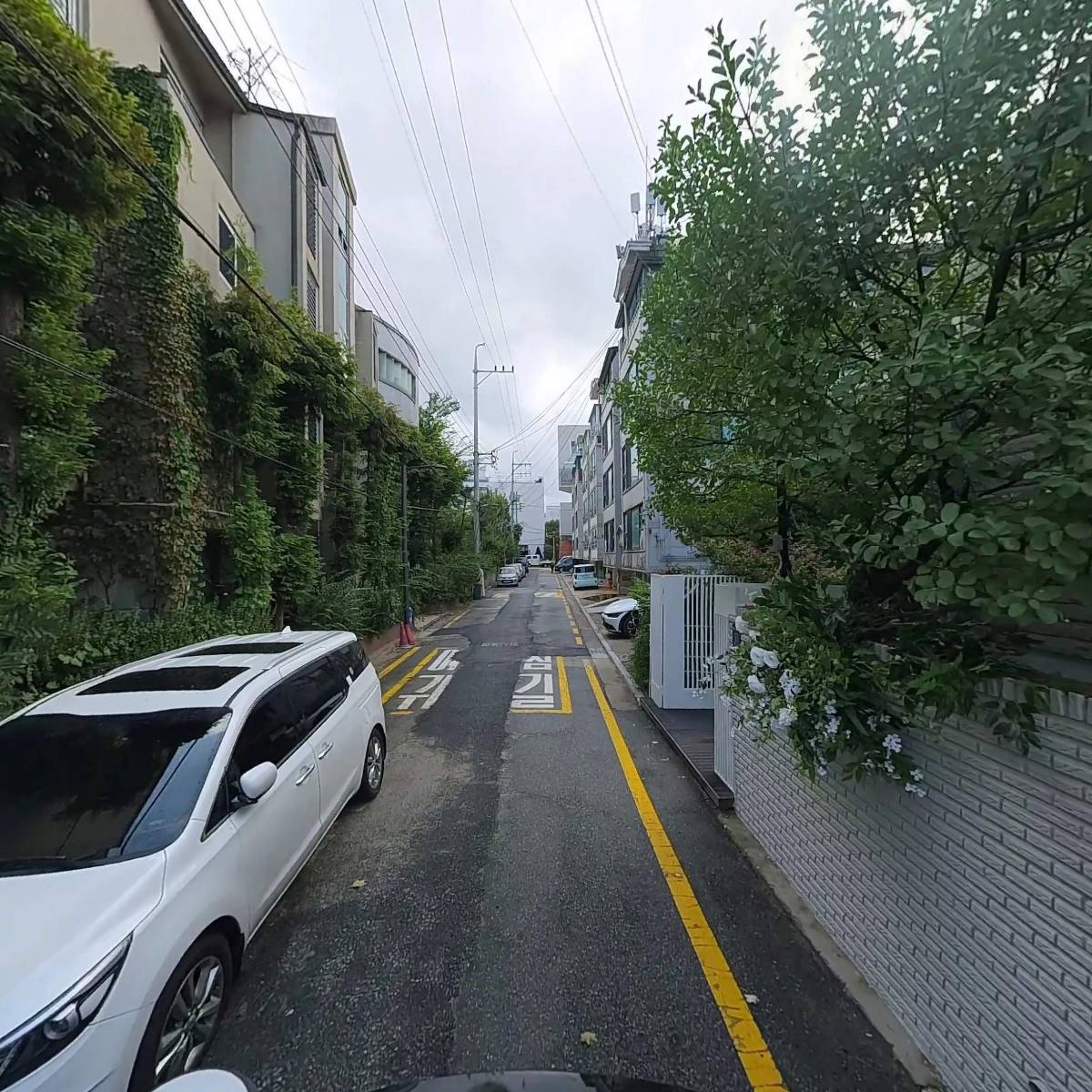 레이디로즈스튜디오_2