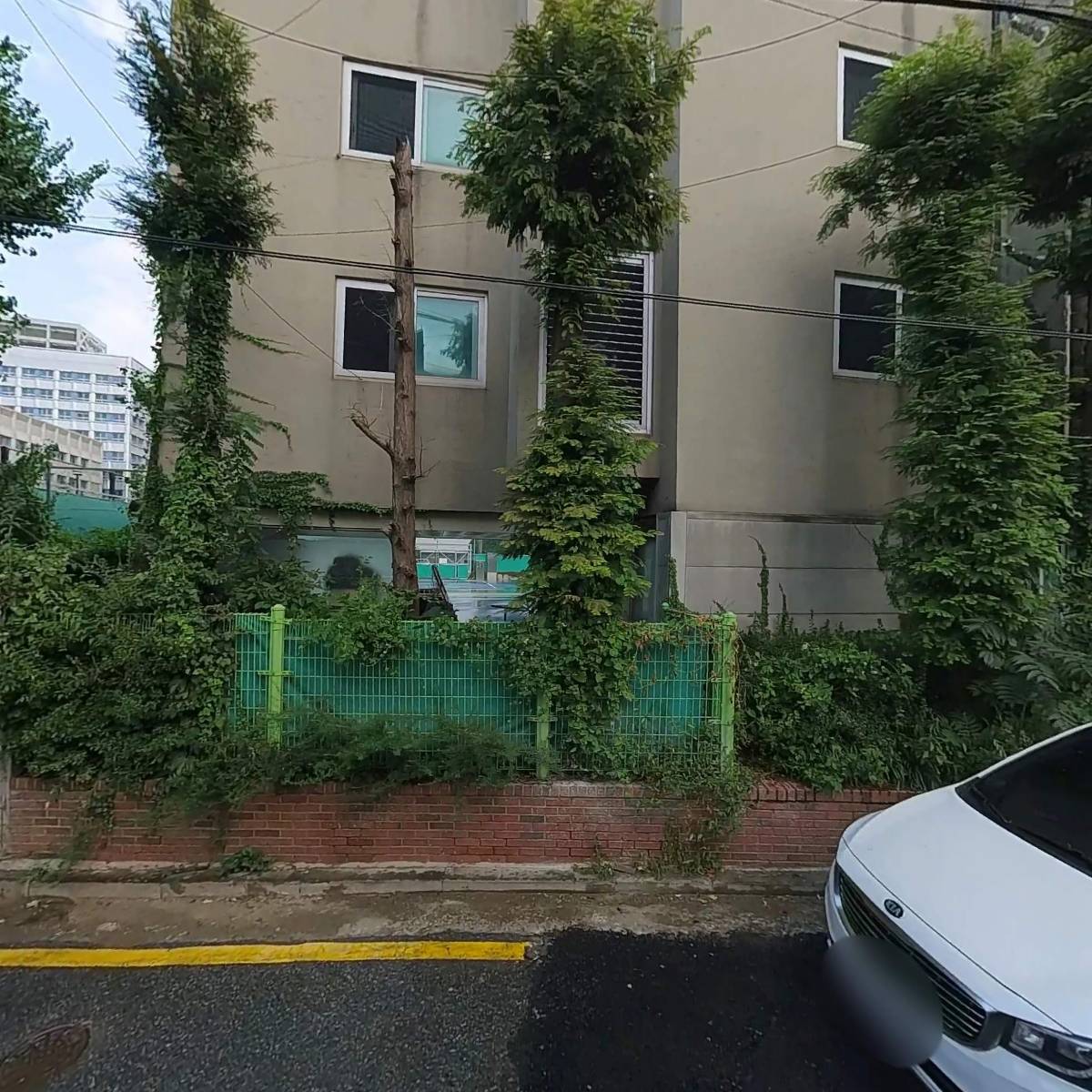 레이디로즈스튜디오