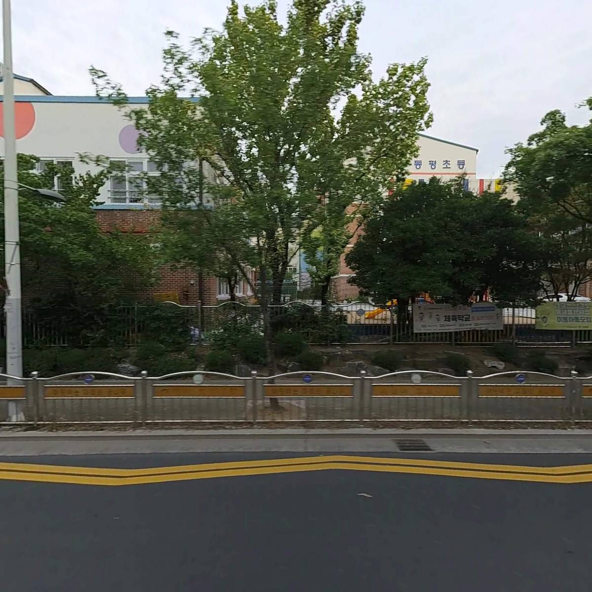 고운손