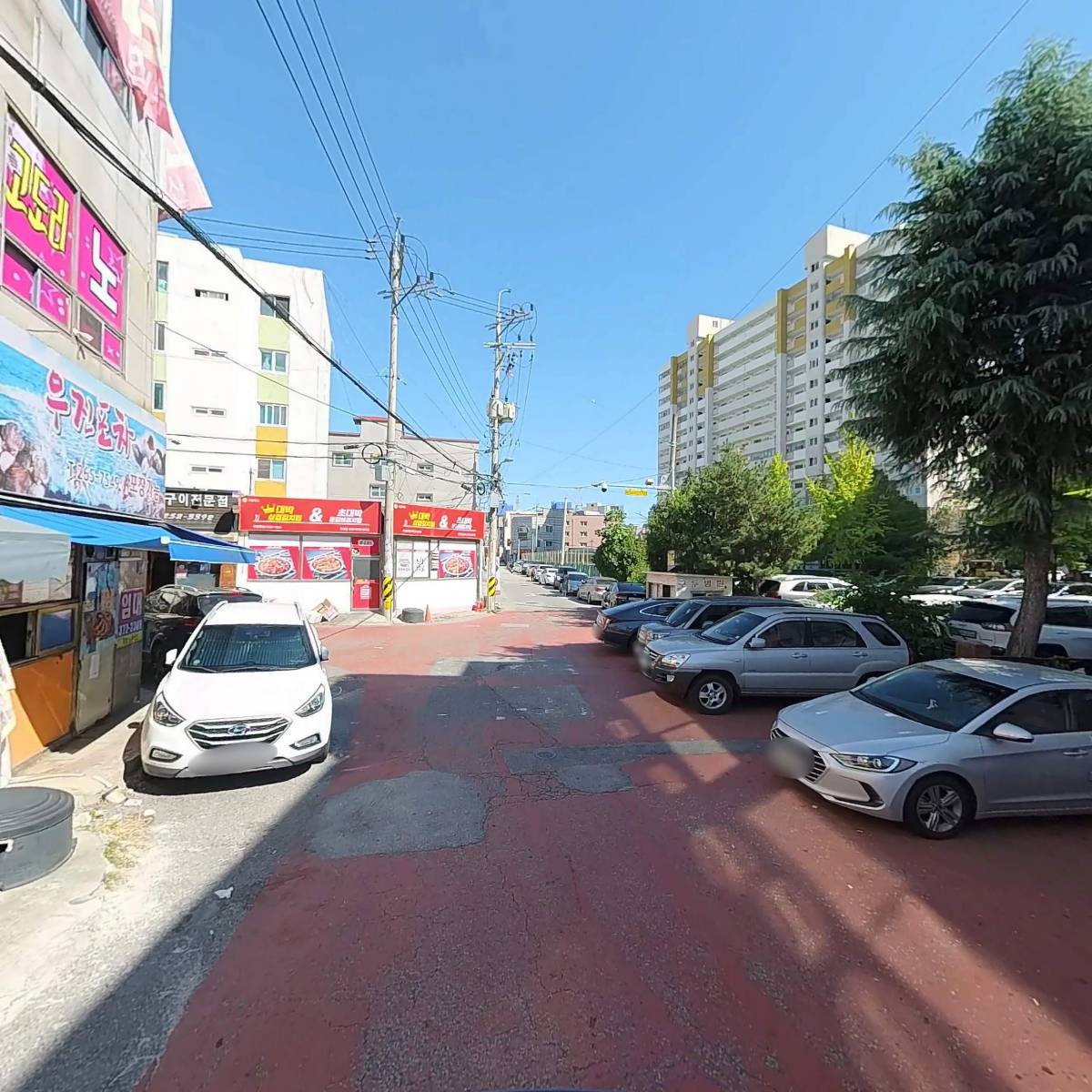 도도 International_2