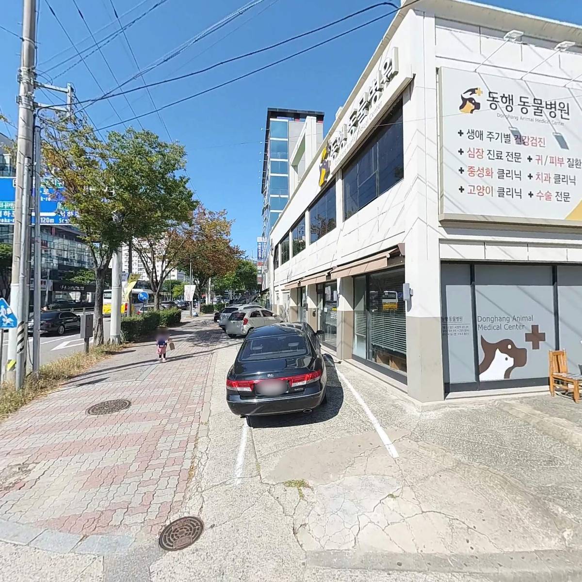 동행동물병원