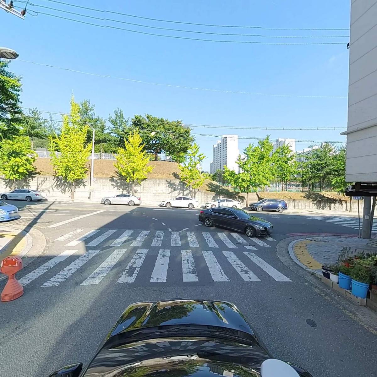루체_4