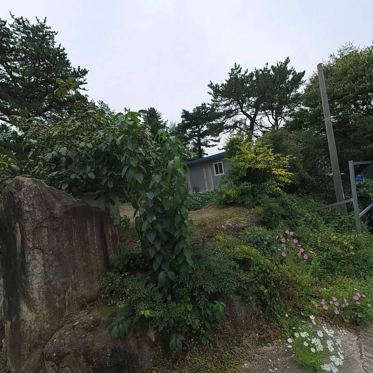 대한불교 여래사