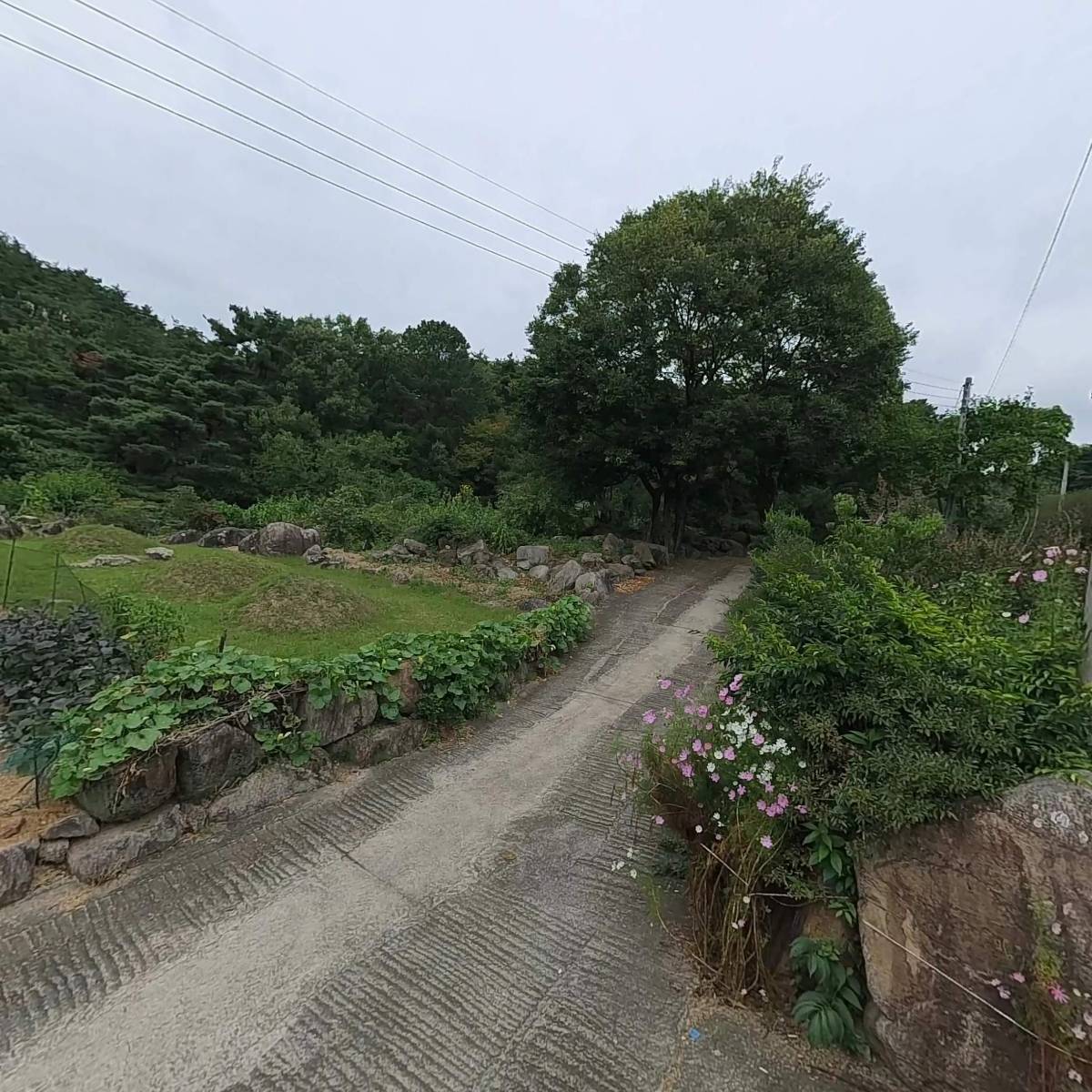 대한불교 여래사_3