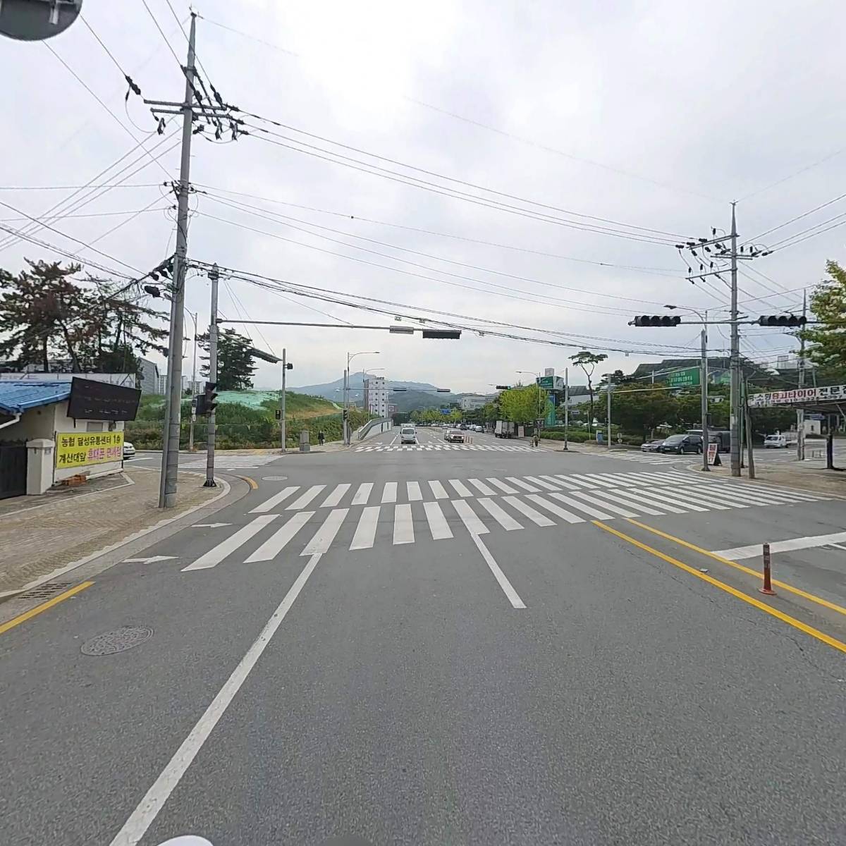 (주)도담 축산물 백화점_2