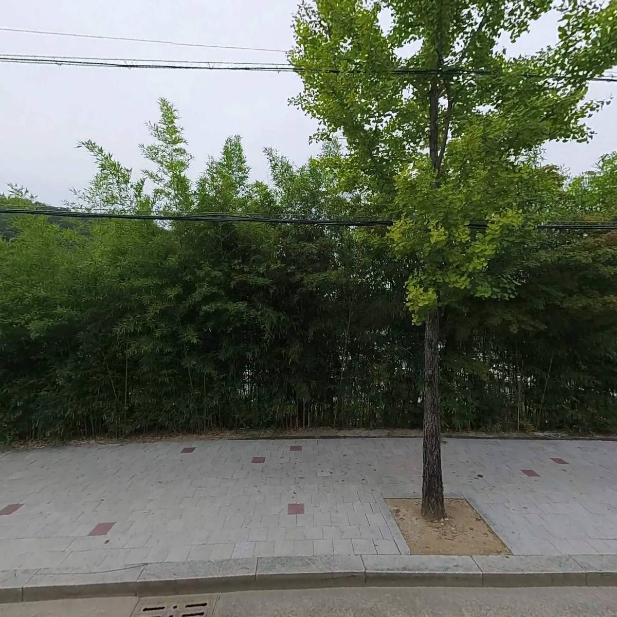도원돌판오리