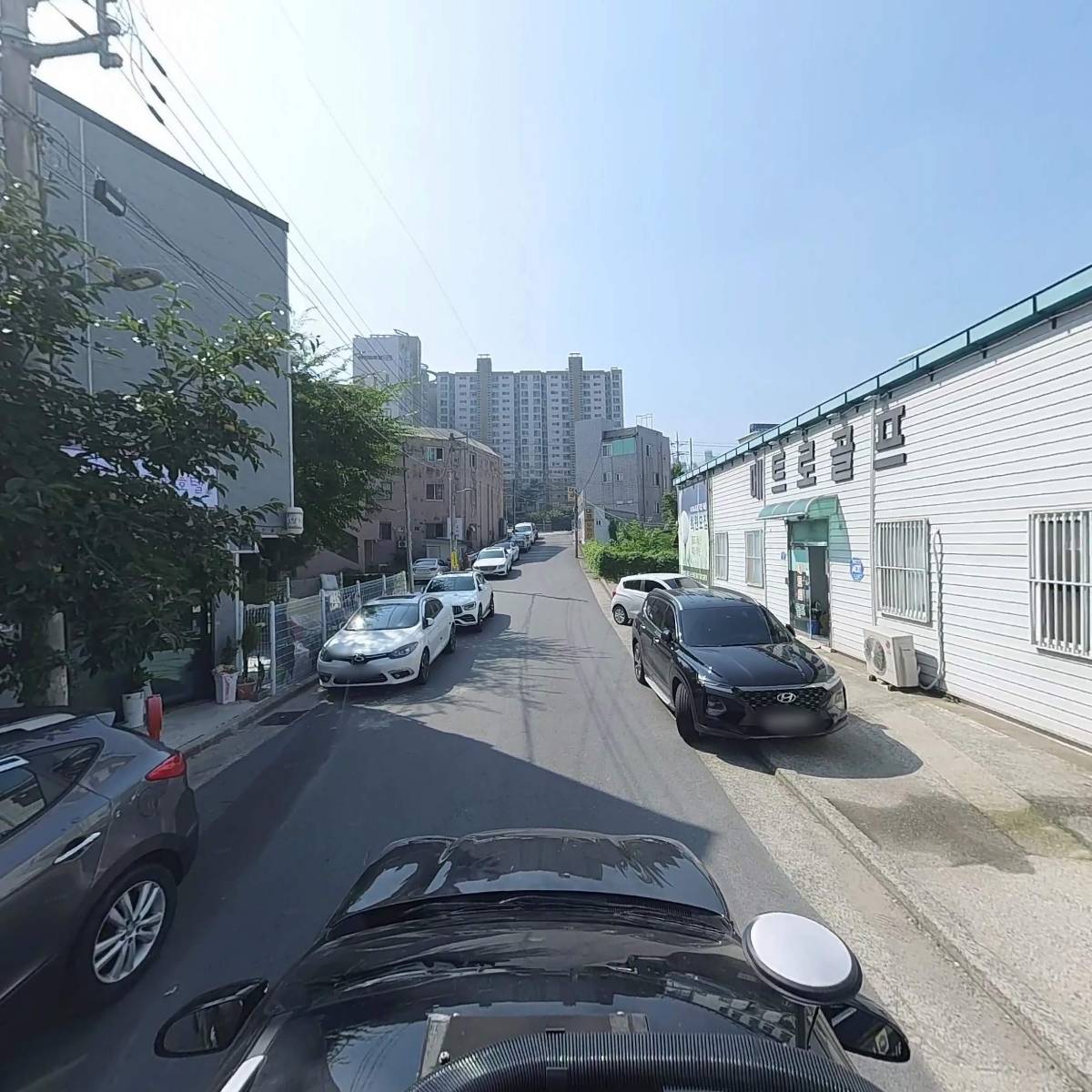 애견미용_4