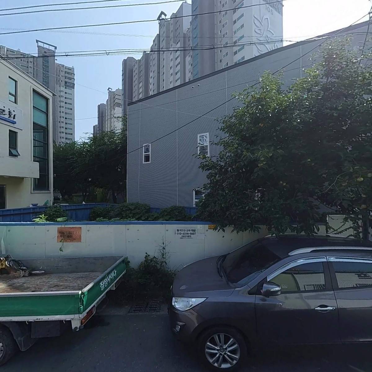 애견미용_3