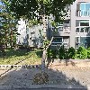 성광태권도장(본관)