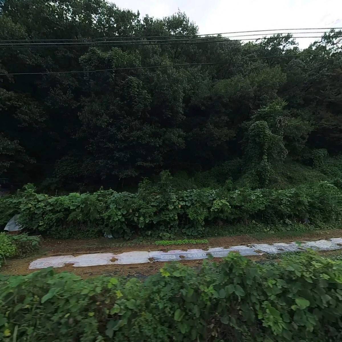 월남동 구내식당_3