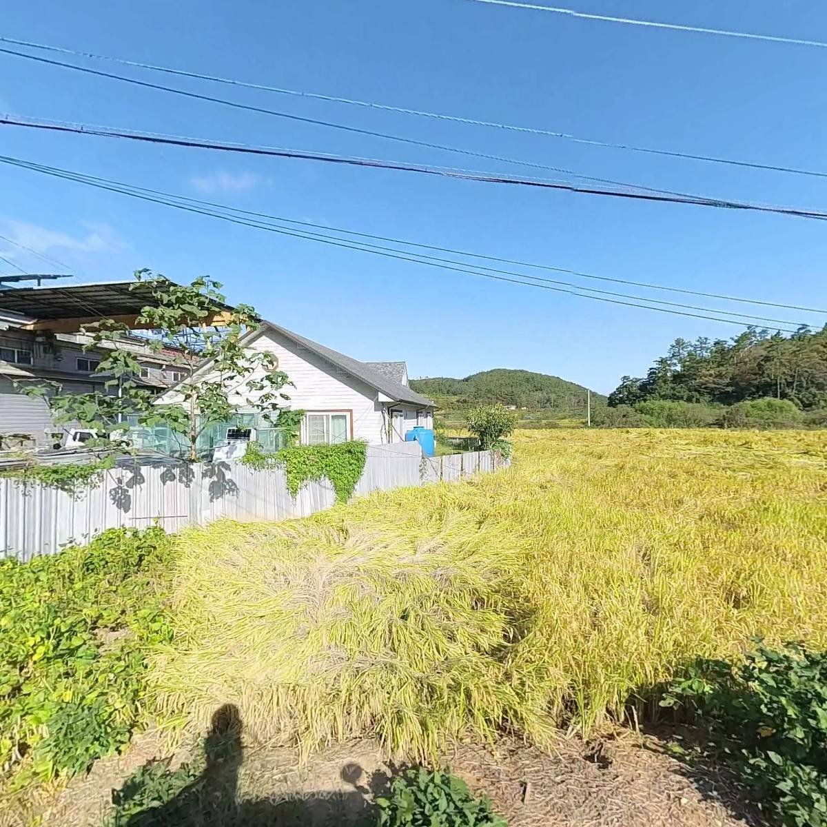 (주)선케리어코리아