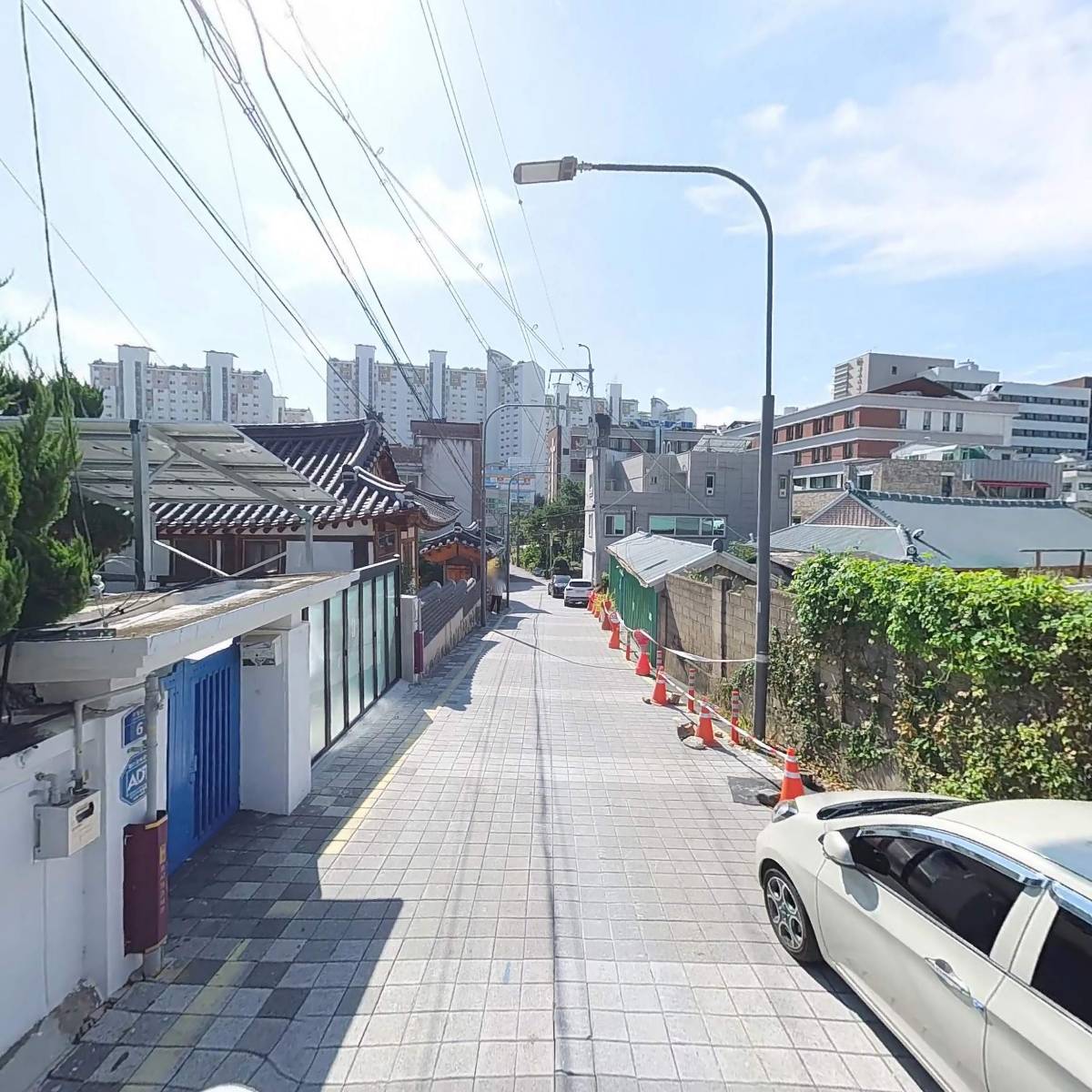 호양호림_2