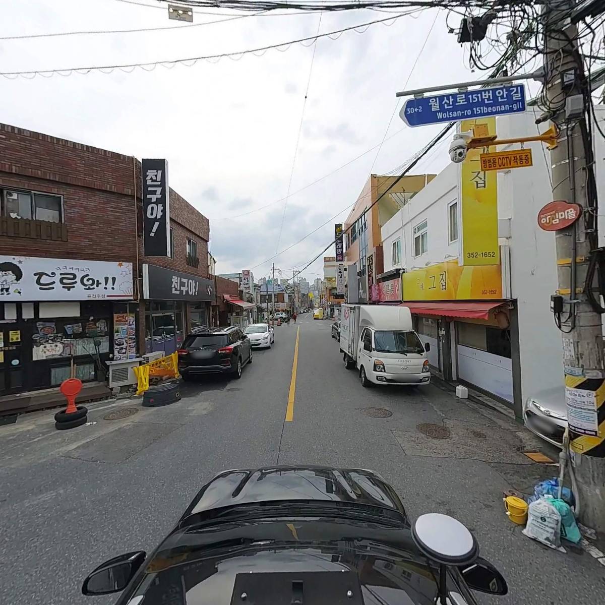 꽃돼지_4