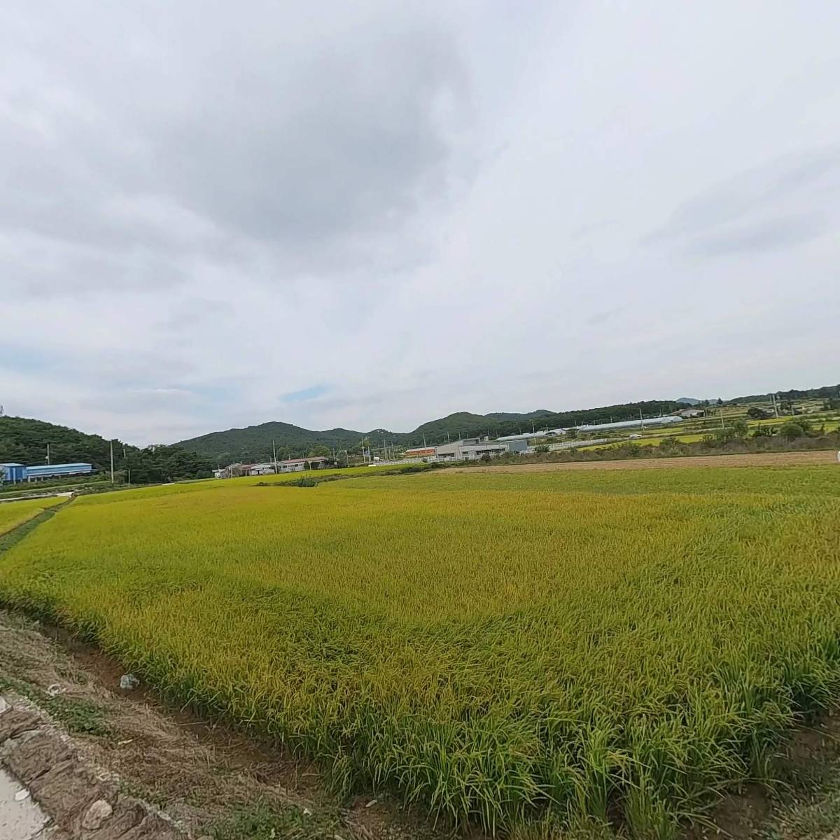 농업회사법인 플랜티팜 주식회사 (광산지점)