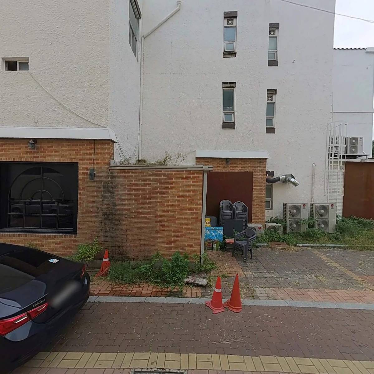 구피(goofy)_3