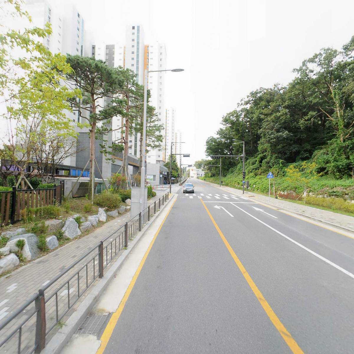 단연철학관 사주 타로 작명_2