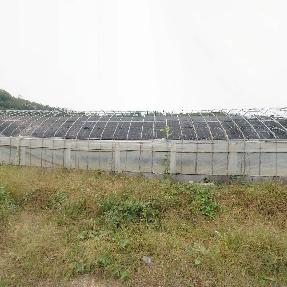 지누테크_3