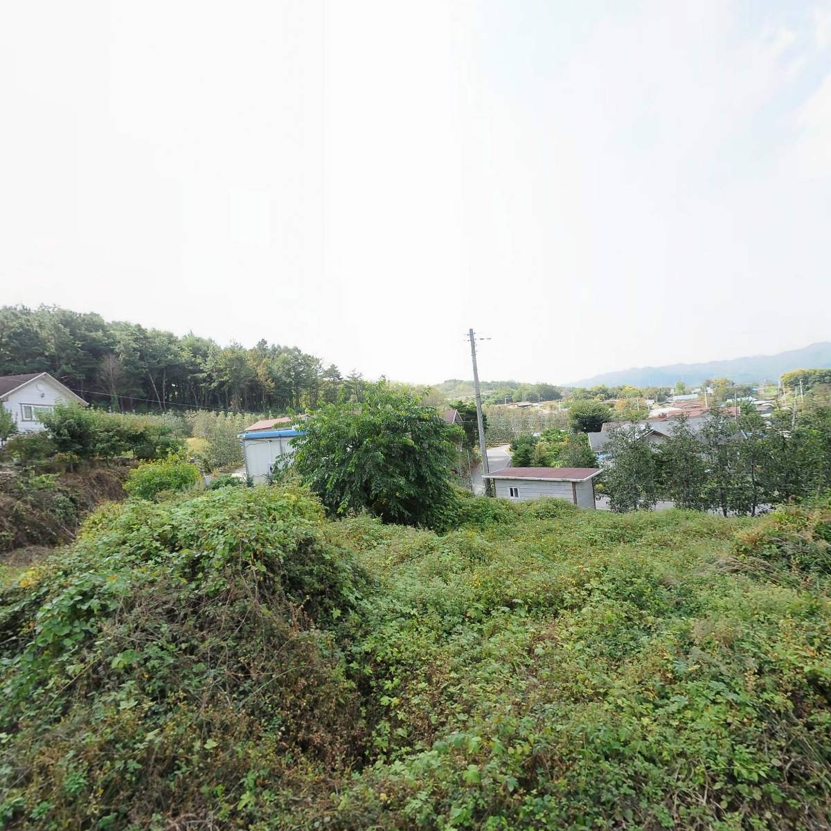사단법인전국사과생산자협회 장수지회