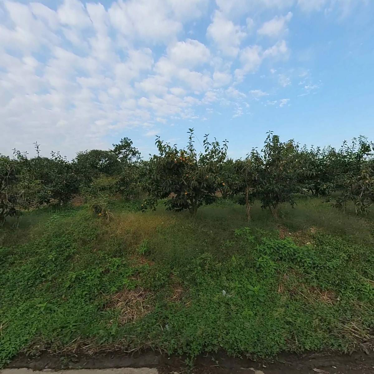 광명사무용가구_3