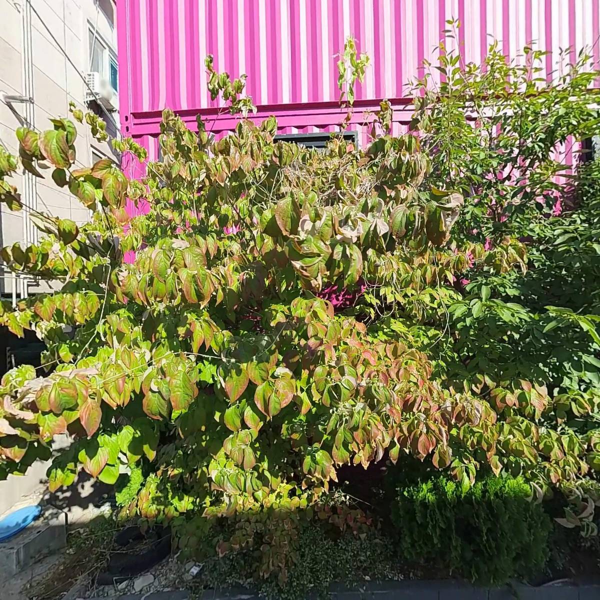 주식회사 타이어메카 서구점