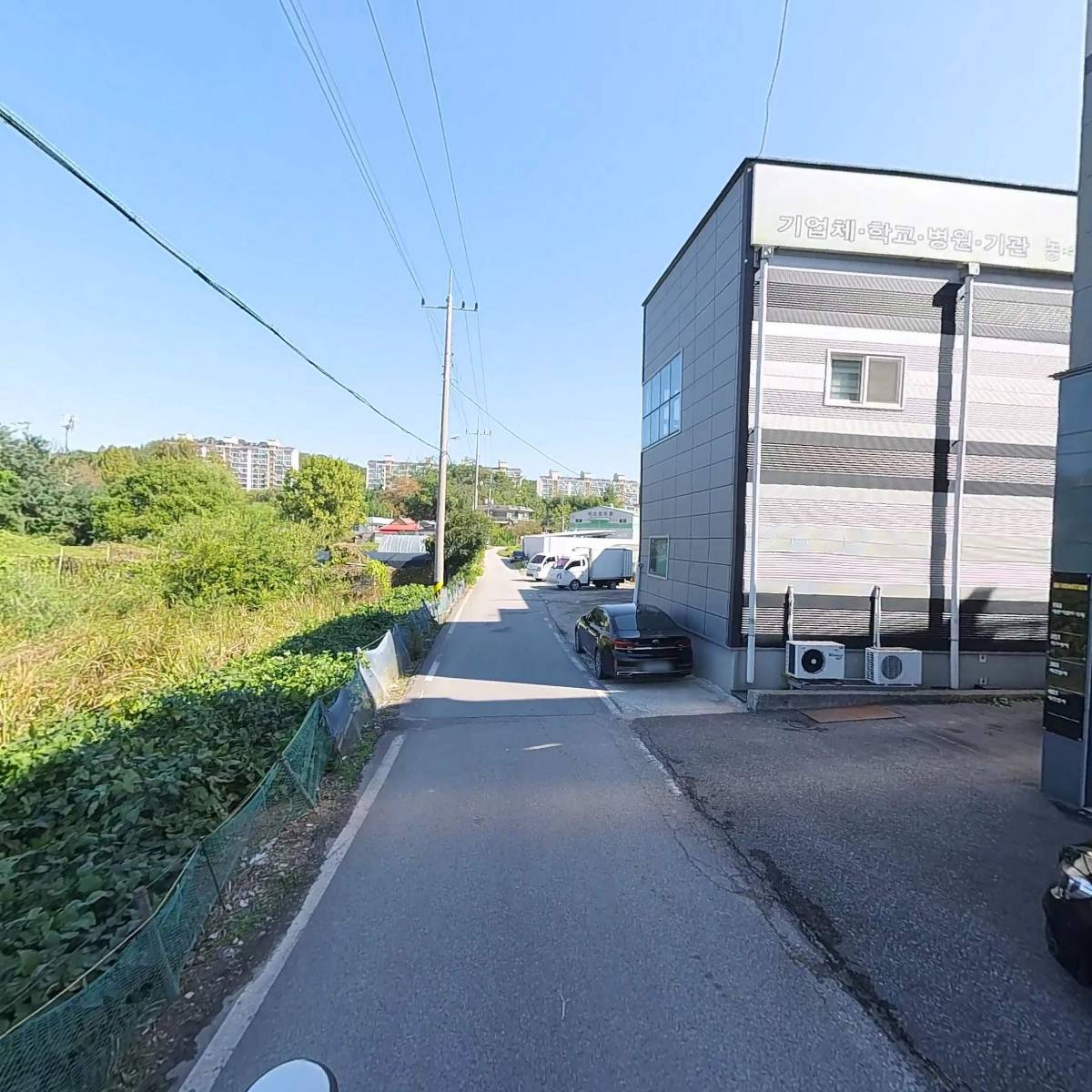 라브레아 La Brea_2