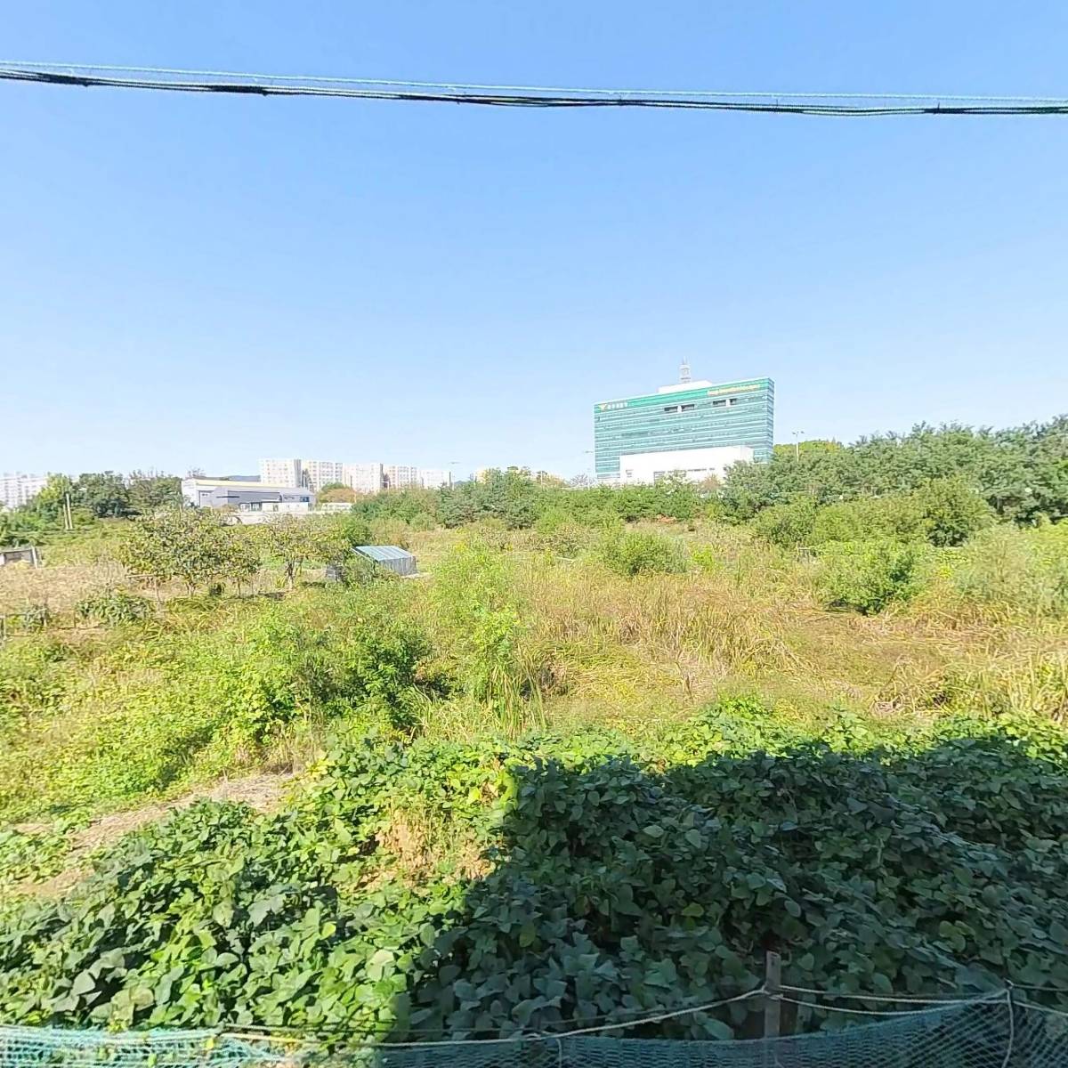 라브레아 La Brea