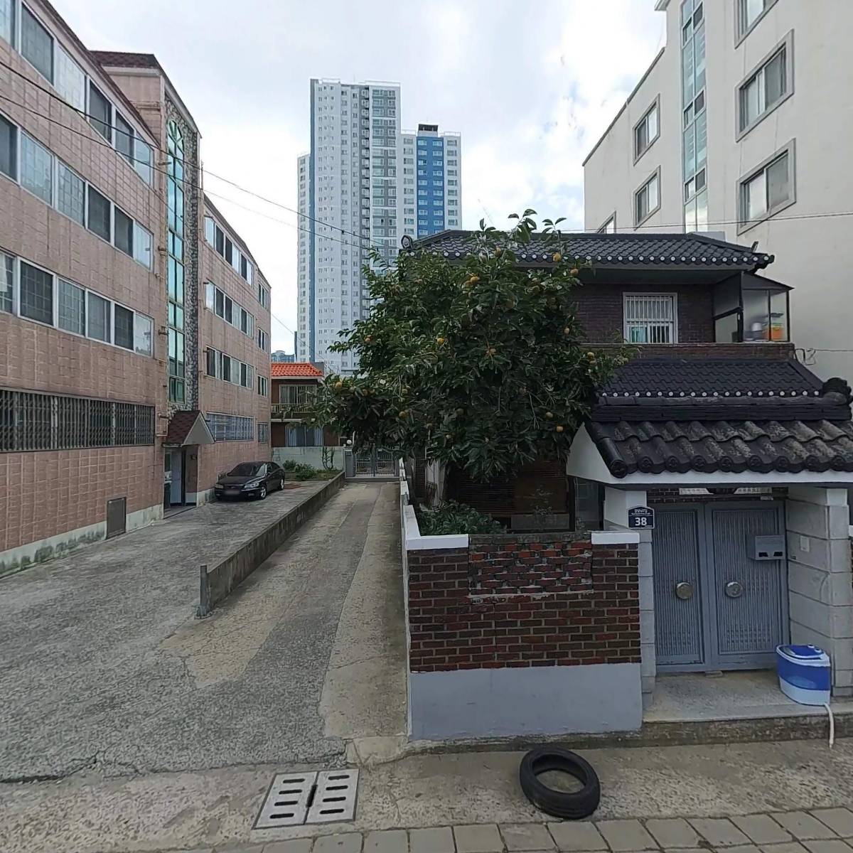 신아기전