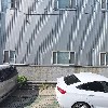장미모사
