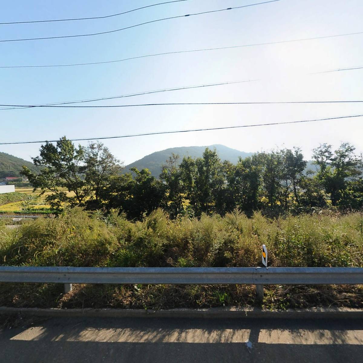소윤스텔라