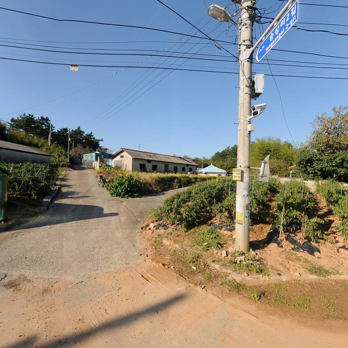 농부의 하루 365