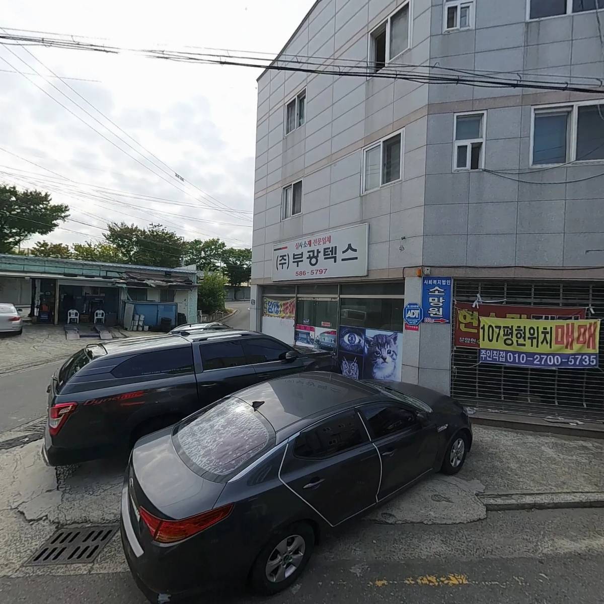 달구벌부란자