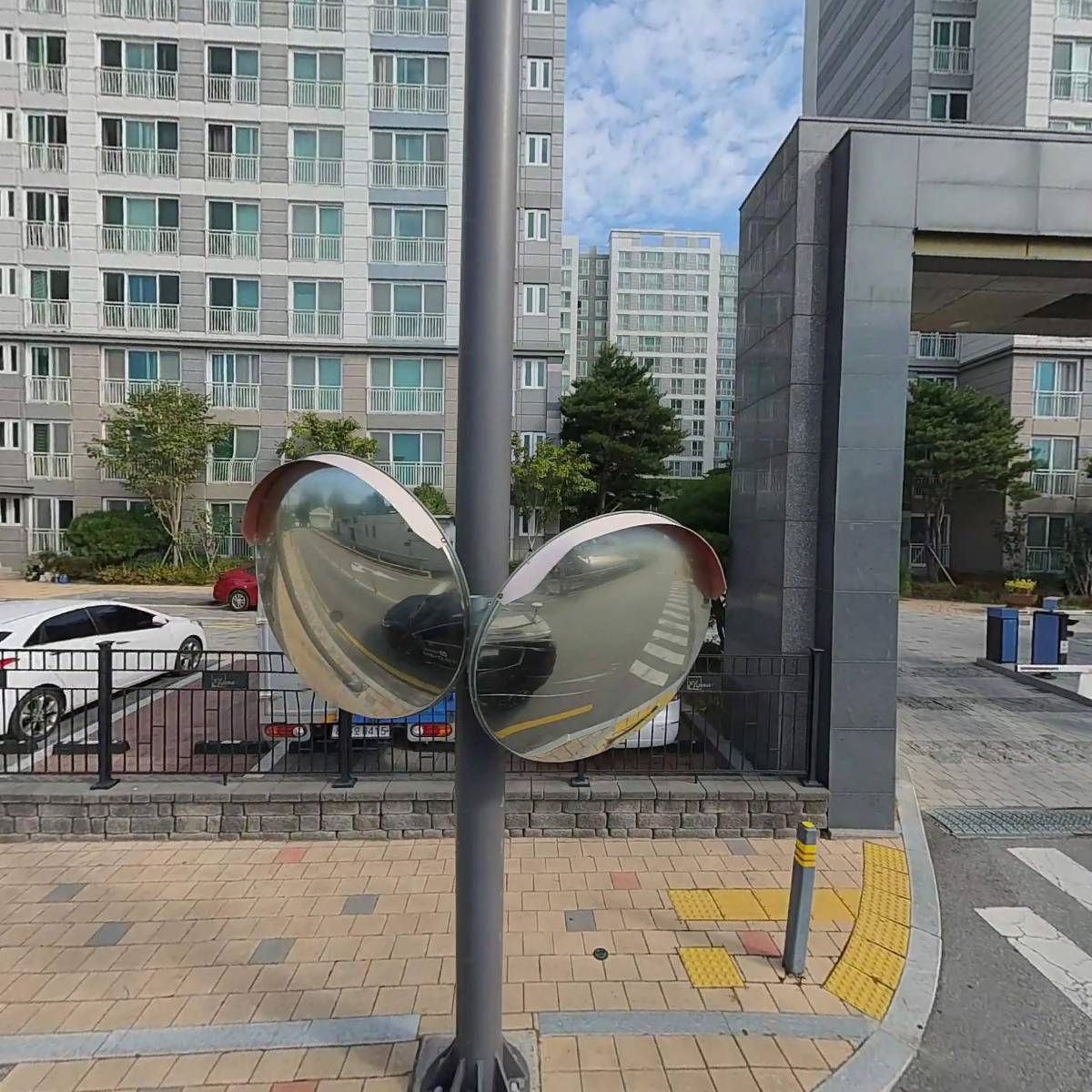 뉴랜드 아도라