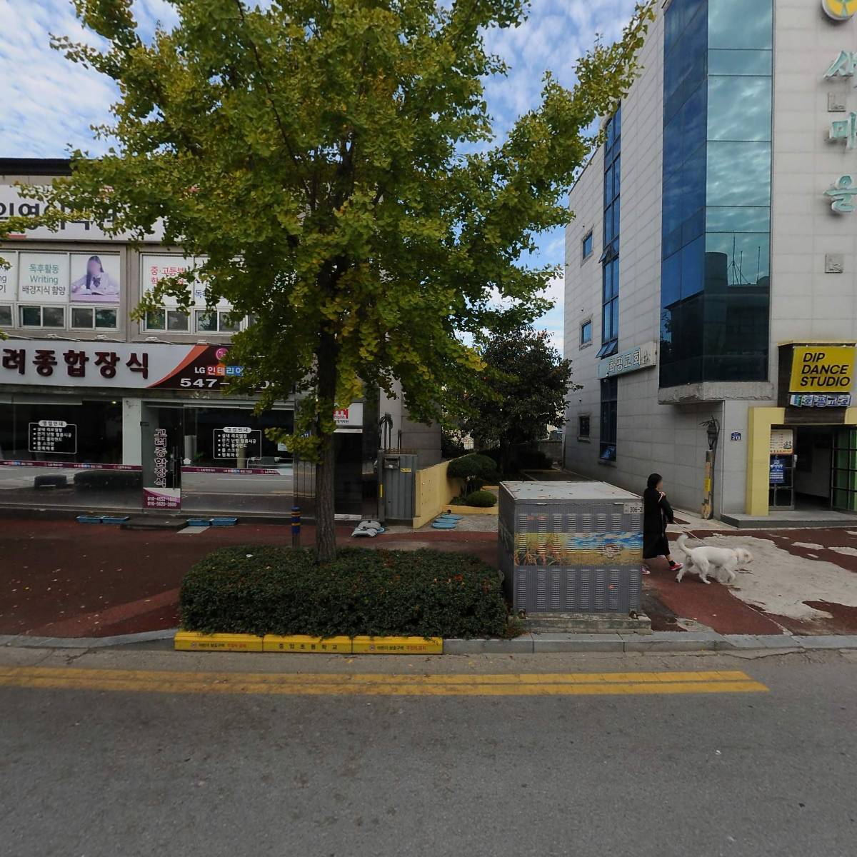 솜리치킨 김제점