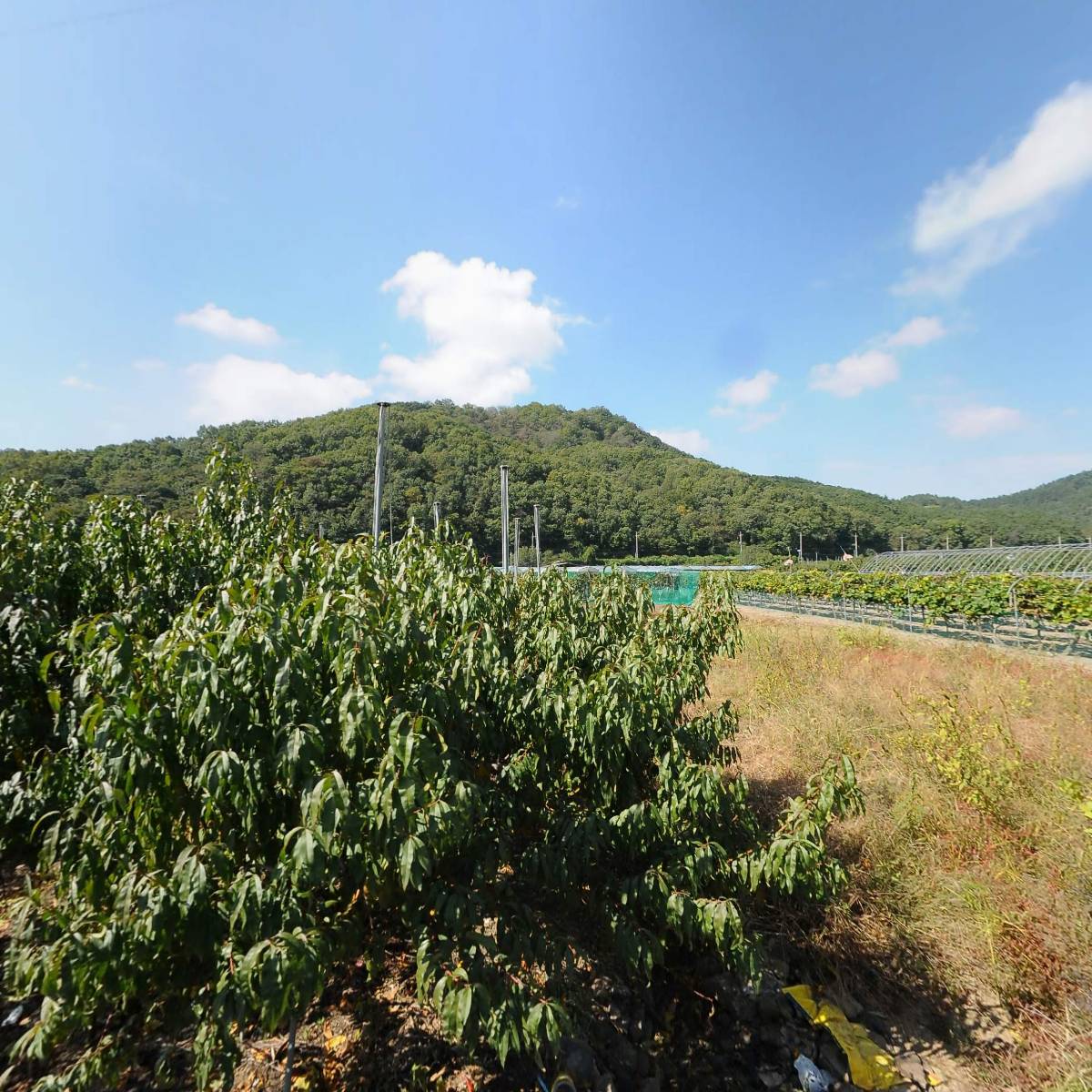 경산고인돌농장