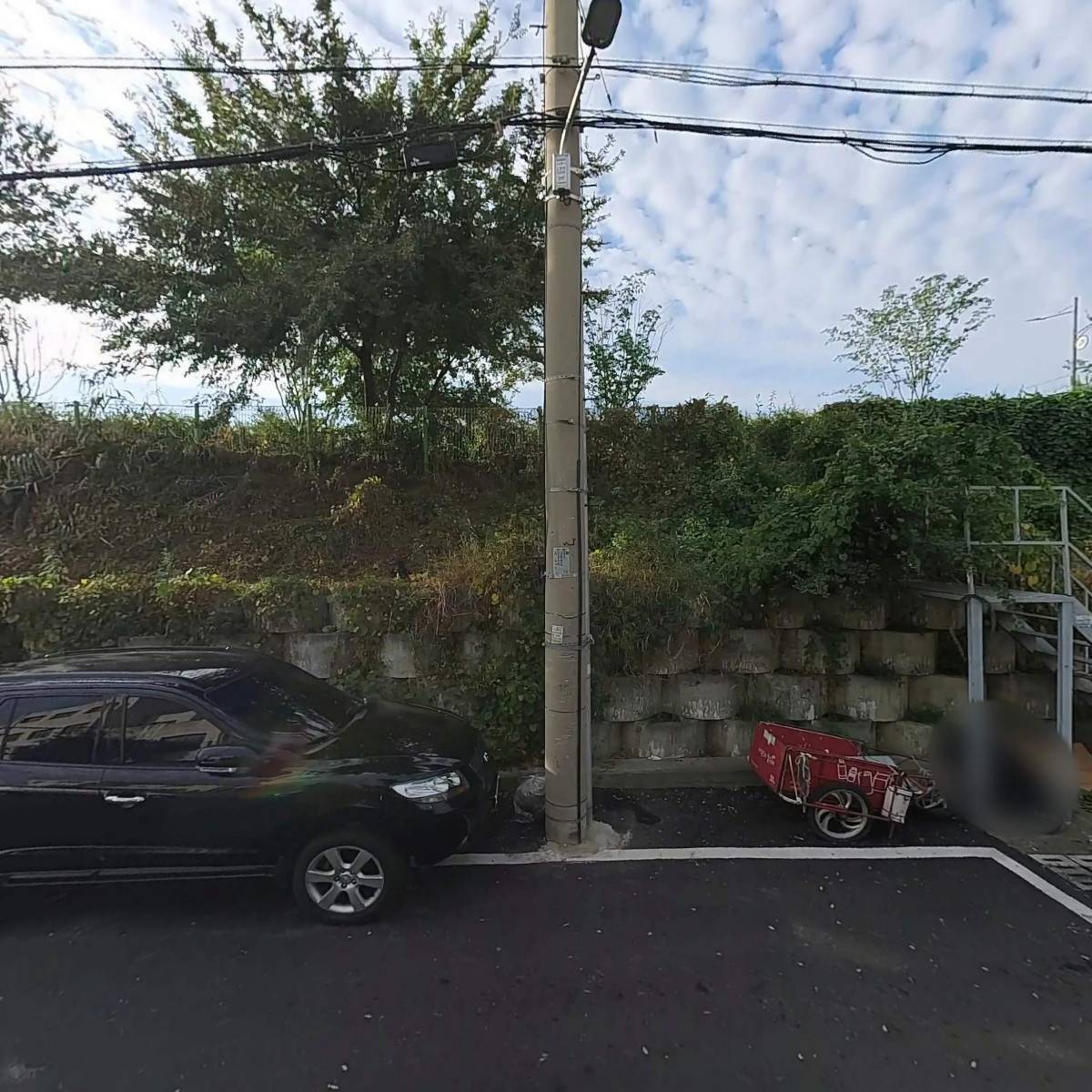 대구특수엠보텍스