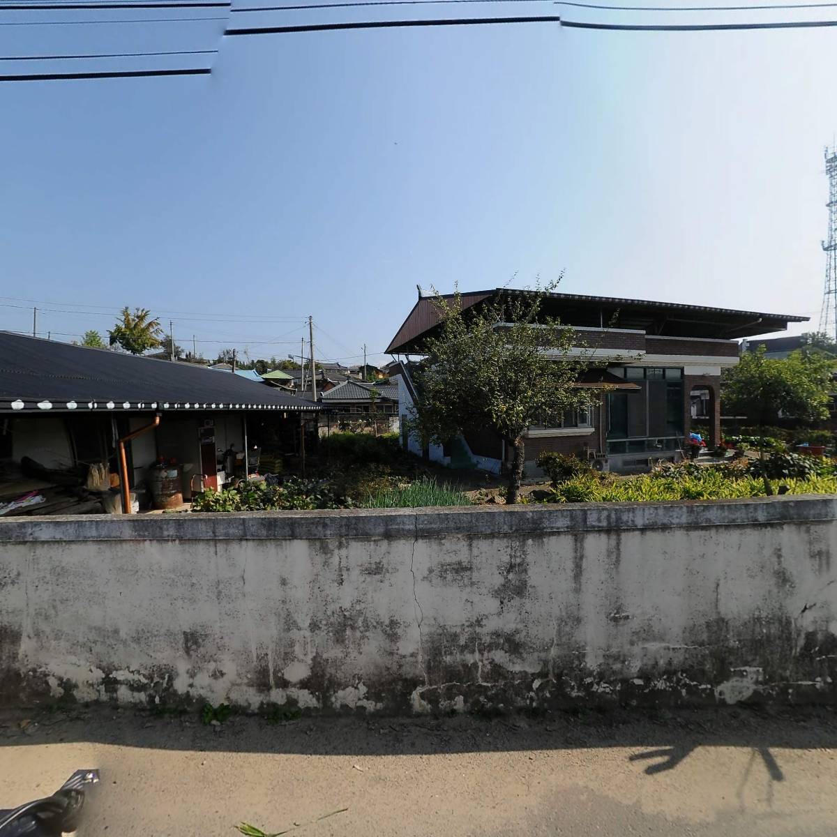 신안당한약방