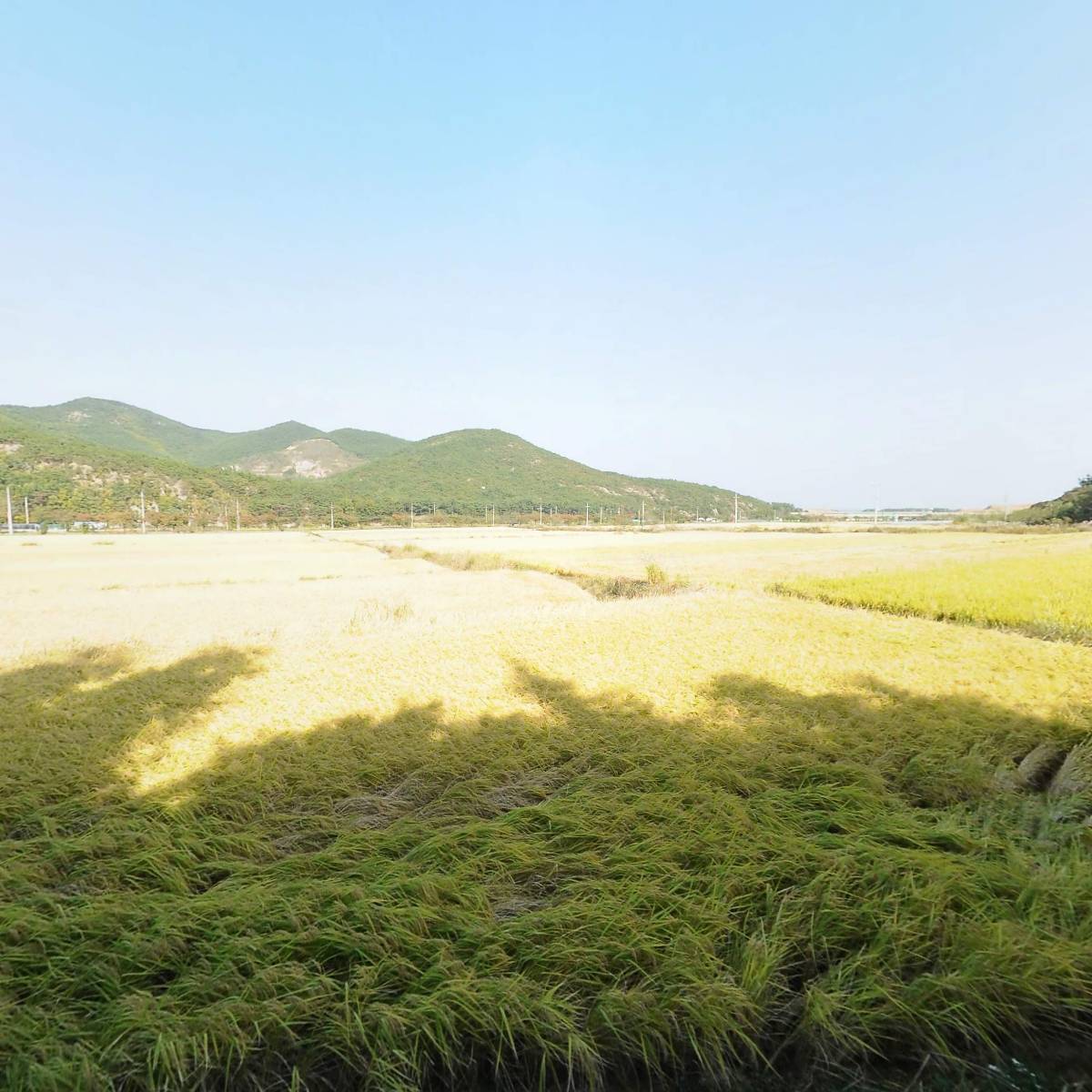 포항세라믹(주)