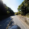 유성고려홍삼(주)_4