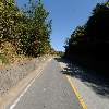 유성고려홍삼(주)_2