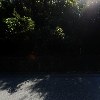 유성고려홍삼(주)_3