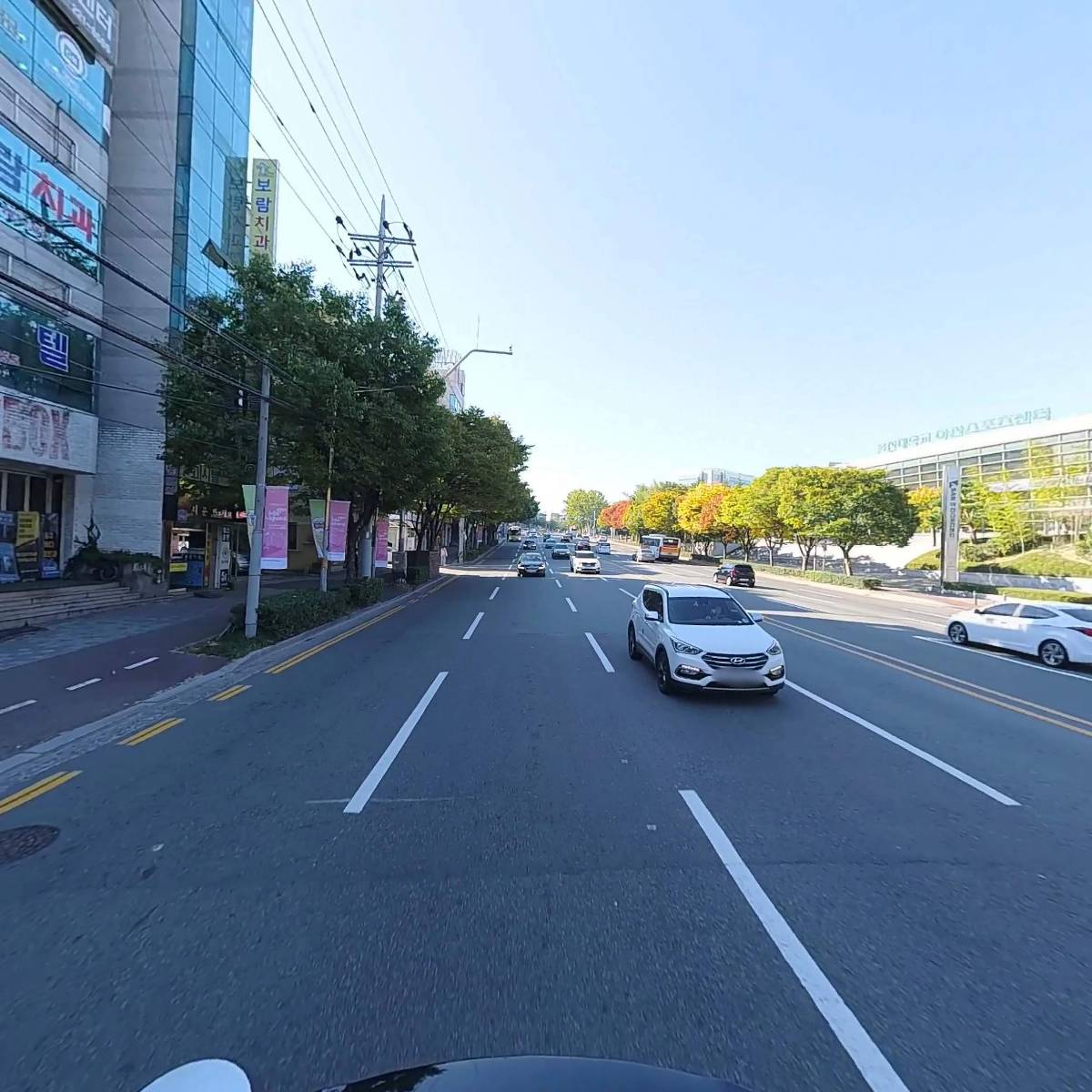 스마일동물병원_2