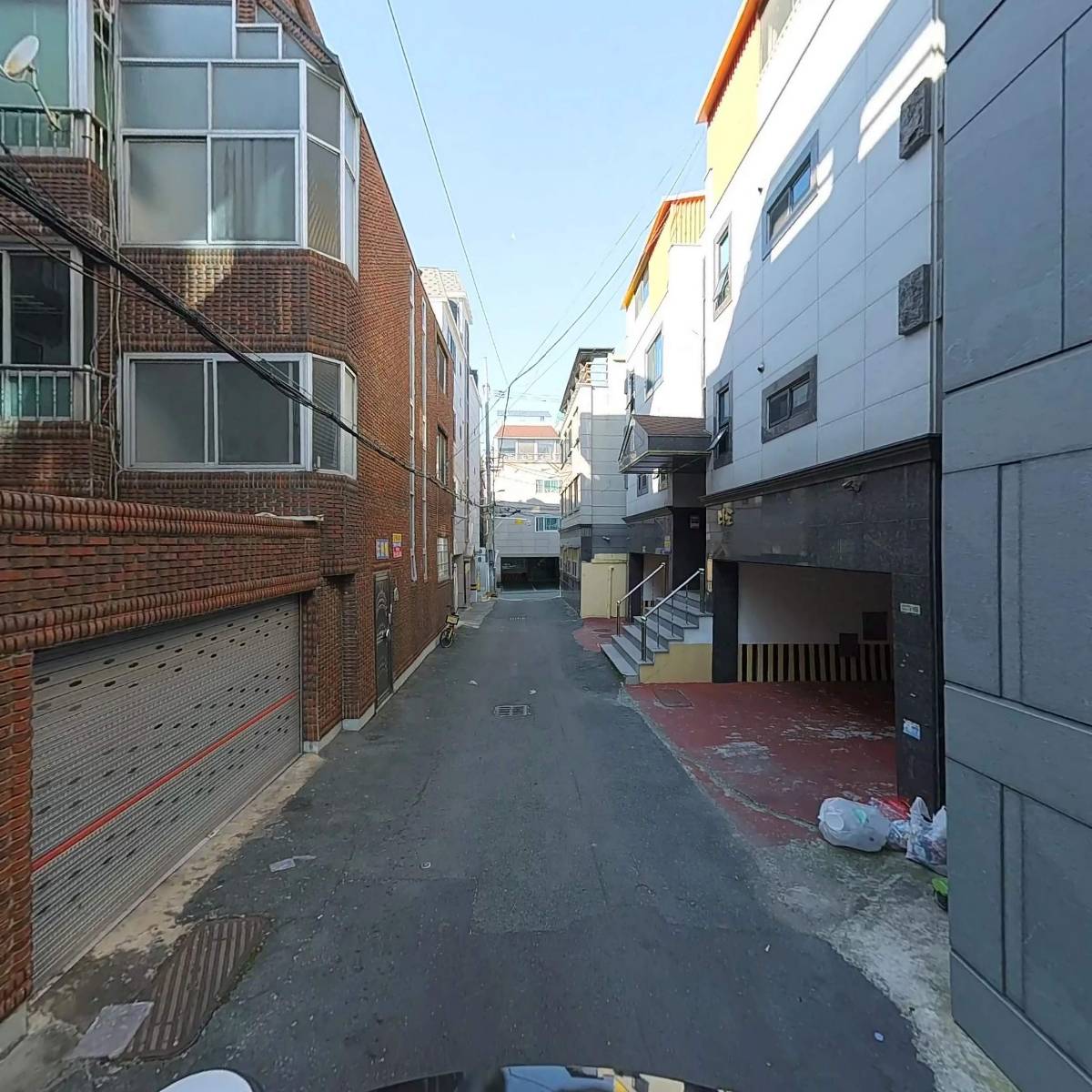 코이_2