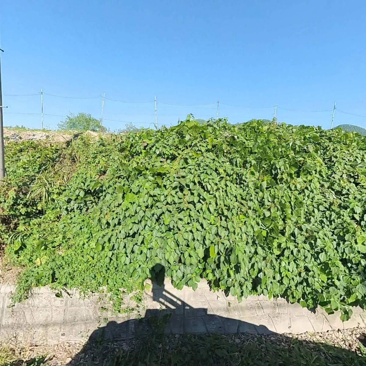 영성섬유_3
